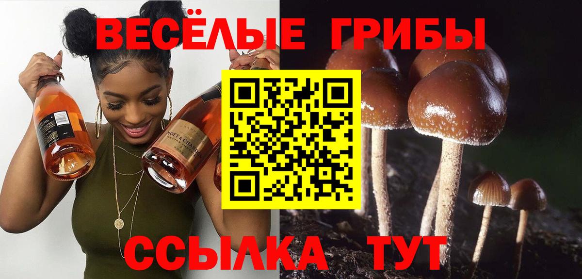 Псилоцибиновые грибы Magic Shrooms  Вход с VPN  Волоколамск 
